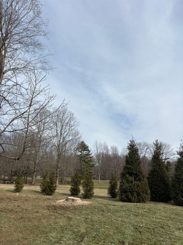  for Dig-It Tree Company in Mason, OH