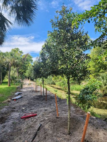 All Photos for Bridgewater Arbor Care LLC in Jupiter, FL