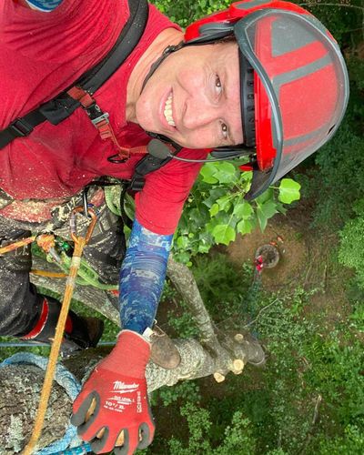 Tree Removal for Pinedown LLC in Cherokee County, GA