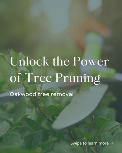  for Oakwood Tree Removal LLC in Oak Creek,  WI
