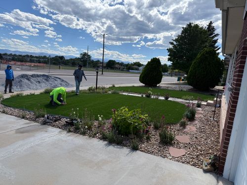 Artificial Turf Installation for Forever Green Turf Pros in Greeley, CO
