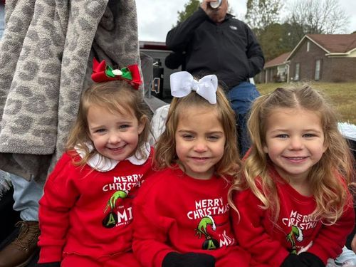  for Amis Lawn and Landscape, LLC in Clinton, MS