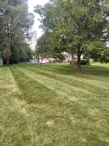 Lawn-Maintenance for Puleo Landscape LLC in Chittenango , NY