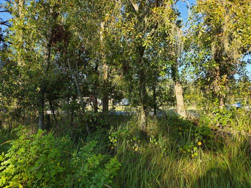  for Bay Area Bobcat in Riverview, FL