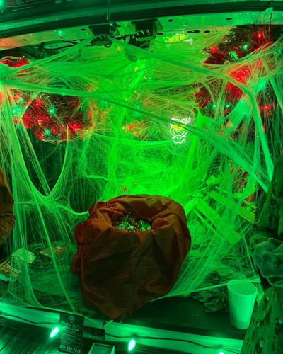  for Holiday Lighting Solutions in Huntsville, AL