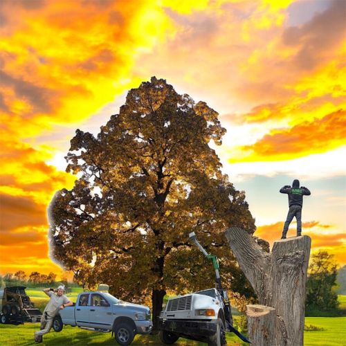  for D Hale Tree Service in Ann Arbor, MI