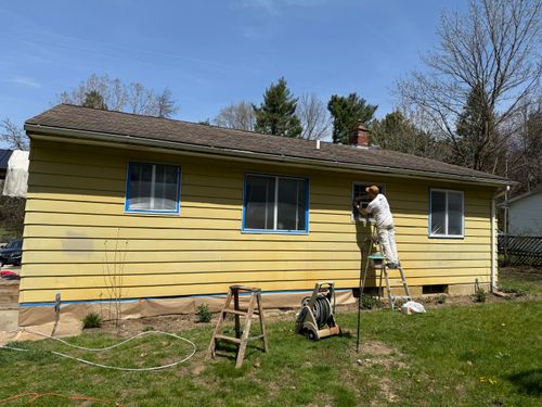  for ZB Professional Painting in Detroit, MI