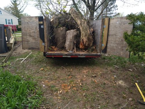 Yard for Blue Eagle Junk Removal in Oakland County, MI