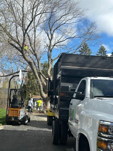  for Oakwood Tree Removal LLC in Oak Creek,  WI