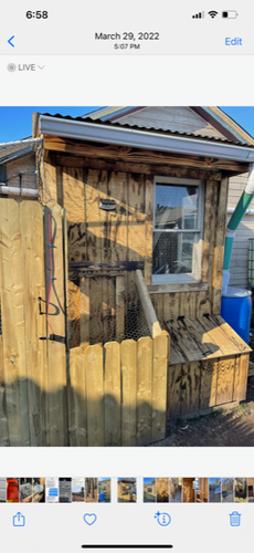 Chicken Coop Installation for B&L Management LLC in East Windsor, CT