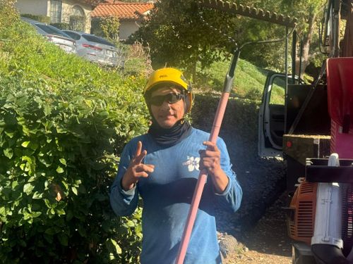 Tree Services for The Tree Fairy in Julian, CA