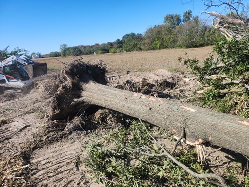 Land Clearing & Demolition for BDS Trucking & Excavating in Litchfield, IL