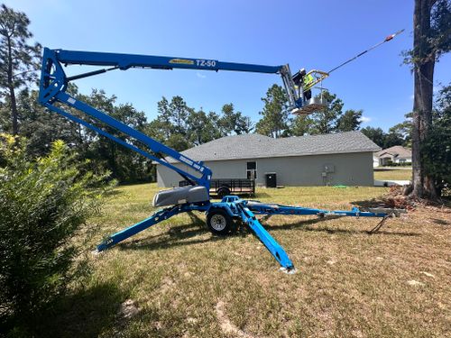  for Tree Amigos Tree Service in Ocala, Fl