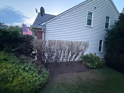  for Reyes Multipurpose Services LLC in Frederick, MD