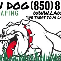 Fall and Spring Clean Up for Lawn Dog Mowing and Lawn Services in Panama City, FL