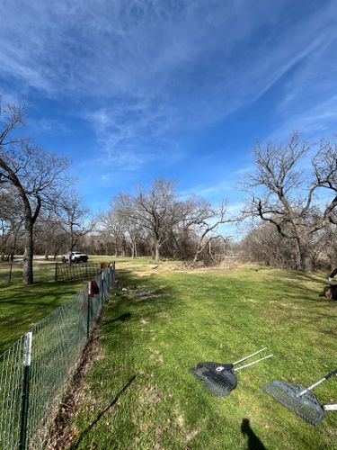  for Marks Tree Service in Fort Worth, TX