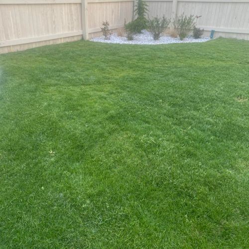 Lawn Care for Eddie’s Lawn Care in Chesapeake, VA