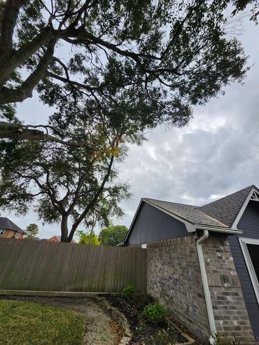  for Bonita Bay Lawn Maintenance LLC in La Porte, TX