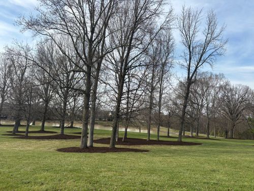  for Southern Turf & Landscape in Concord, NC