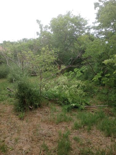 Mowing for Emergency Yard Care LLC in Waxahachie, TX
