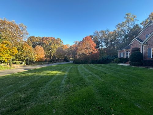  for Pecina Pine Needles in Monroe, NC