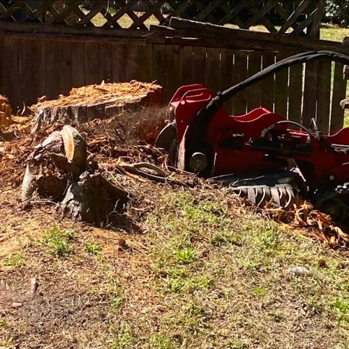 Stump Grinding for Anchor & Grind Stump in Chesapeake, VA