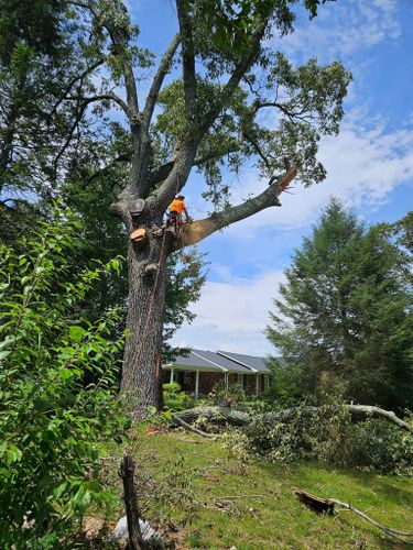  for Paradise Landscaping and Tree Service in Greenwood County, SC