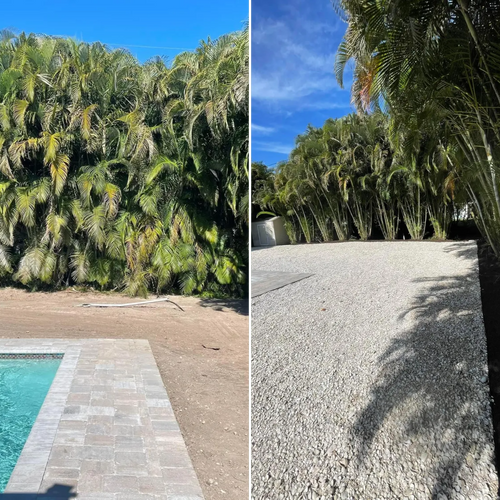 Palm Trimming for Lawn Caring Guys in Cape Coral, FL