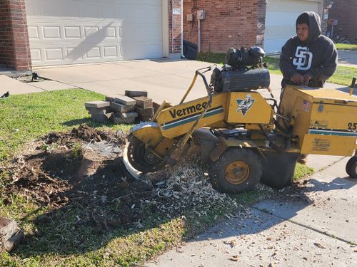 All Photos for Lavon Lawn Plus in Lavon, TX