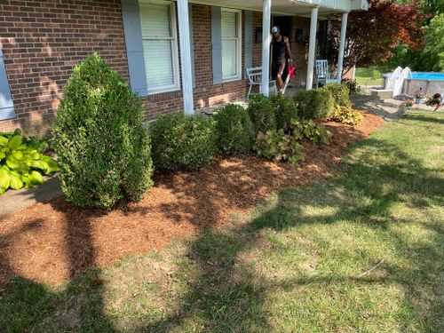 All Photos for EverReady Lawn Co. LLC in Henryville, IN