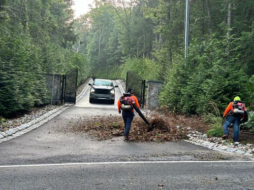 Spring And Fall Clean Up for LGZ Landscaping LLC in Belleville, NJ