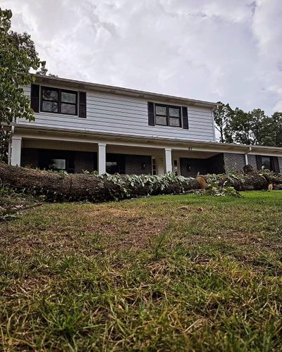  for Millers Tree Service in Saline County, AR