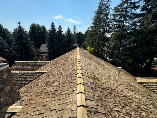 All Photos for Swift Serve in Coeur d'Alene, ID