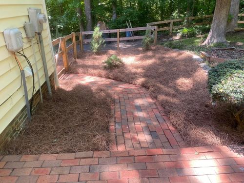 Pine Needle Installation for America's Top Pick Lawn & Landscaping in Gastonia, NC