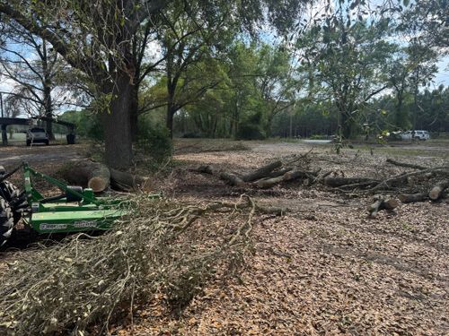 All Photos for All Seasons Tree and Land Works in Trenton, FL
