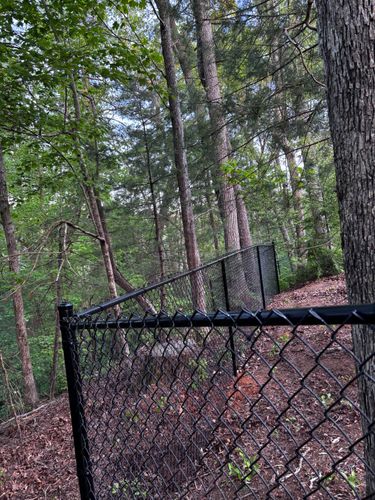 Chainlink Fences for Alpine Fence in Dahlonega, GA