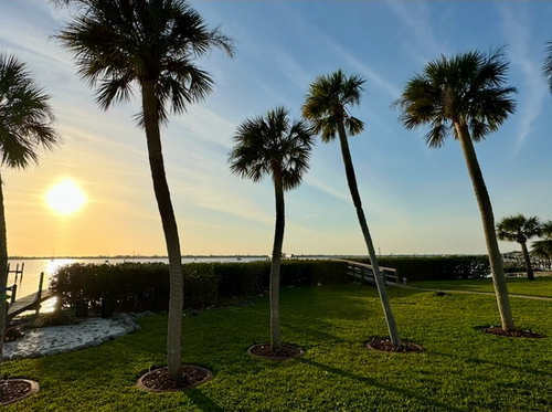 Planting for MX Trees in Englewood, FL