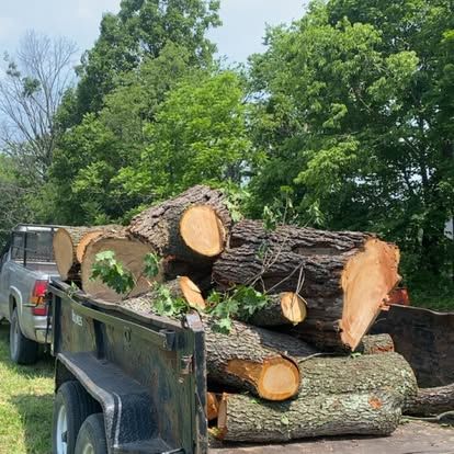 Other Services for Gray’s Tree Service Inc in Maurertown, VA