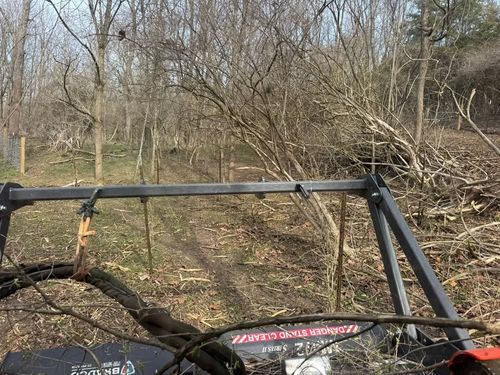 Land Clearing for Barkers Outdoor Services in Hamilton, OH