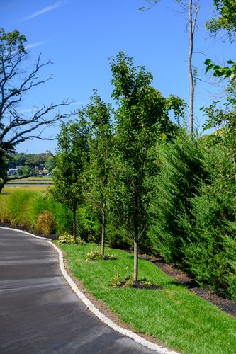 New Lawn Installation for Pungitore Landscapes, Irrigation & Fertilizer in Hingham, MA