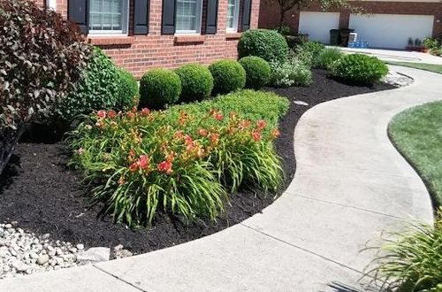 Tree And Shrub Maintenance for K&R Landscaping - Residential in Hamilton, OH