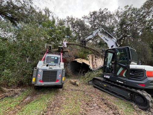  for McGraw’s Lawn and Tree Service in DeLand, FL