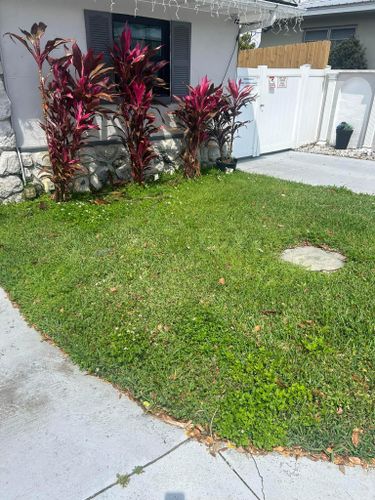 All Photos for Estrada All Pro Lawn Service in Auburndale, Florida