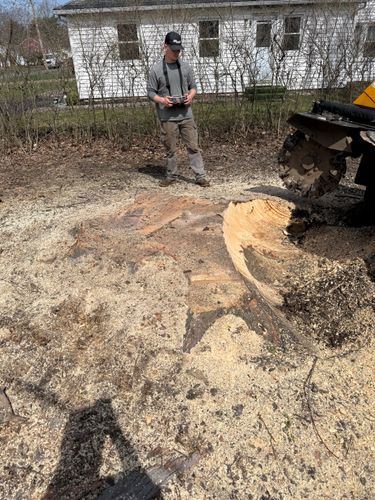 Stump Removal for Lovenguth Logging and Tree Service in West Monroe, NY