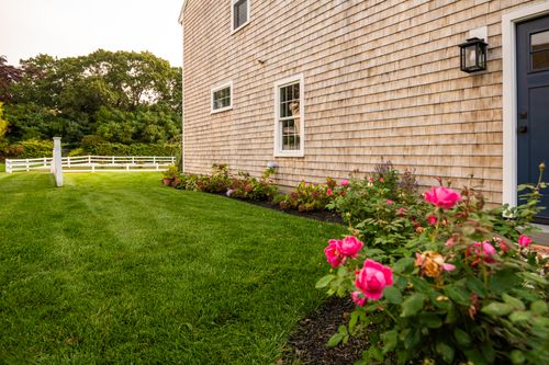 Plantings & Enhancements for Pungitore Landscapes, Irrigation & Fertilizer in Hingham, MA