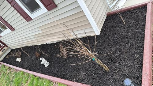 All Photos for Gullion’s Lawn and Landscaping in DeMossville, KY