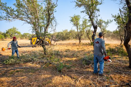 Tree Trimming & Removal for 512 Land Clearing in Blanco County, TX