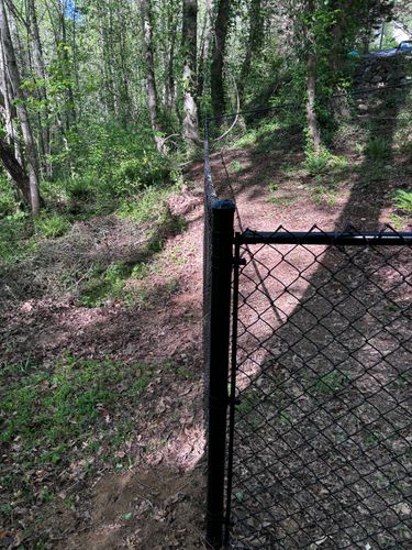 Chainlink Fences for Alpine Fence in Dahlonega, GA