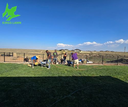  for KINGS LAWN SERVICE LLC in Amarillo, TX