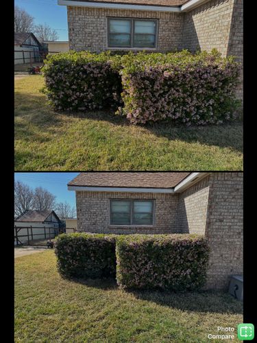 Shrub Trimming for Compas Cleanup in McCamey, TX